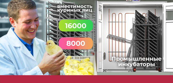 Промышленные инкубаторы